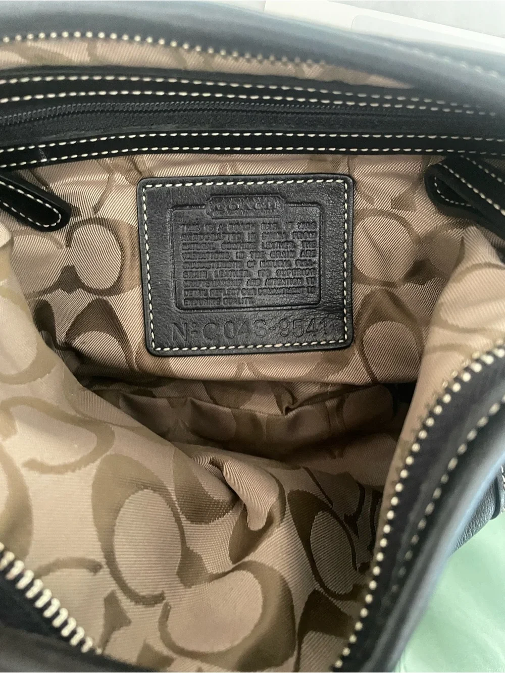 Coach Soho Hobo Bag, Mini, 9541